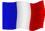 Bienvenue en fran�ais